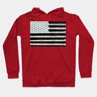 Ferocious independence Hoodie